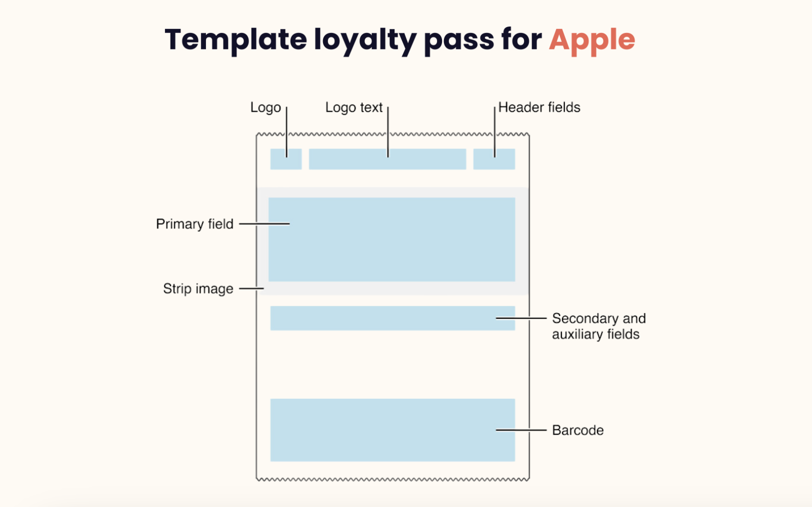 Architecture - Apple